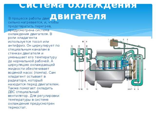 Как циркулирует жидкость в системе охлаждения двигателя? - avtoboss.su