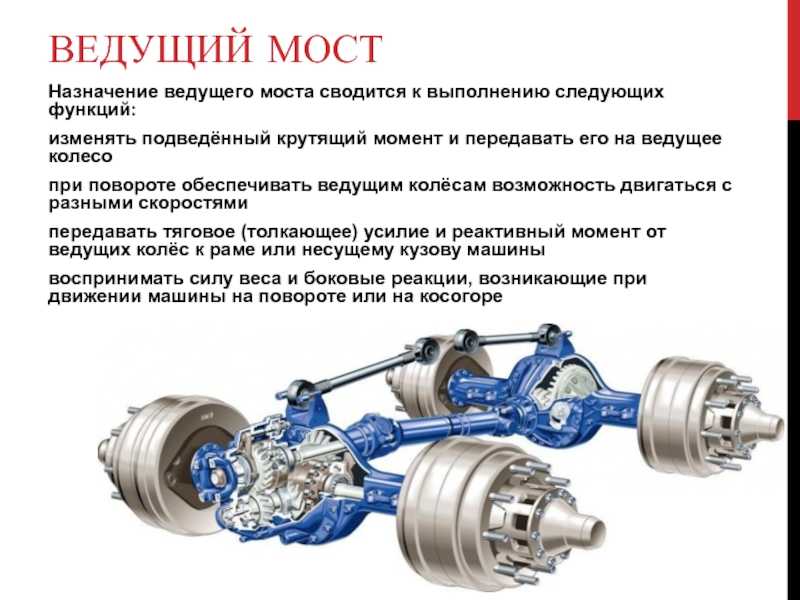 Мосты легковых и грузовых автомобилей: устройство и классификация | dr1ver.ru