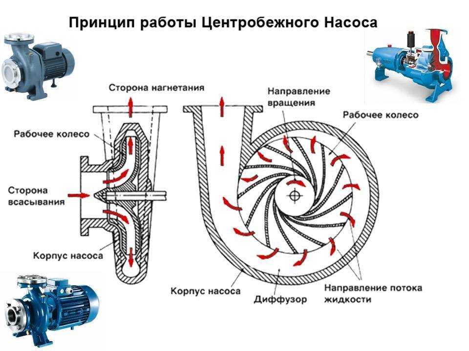 Установка тнвд на двигатель, устройство топливного насоса высокого давления | avtoskill.ru