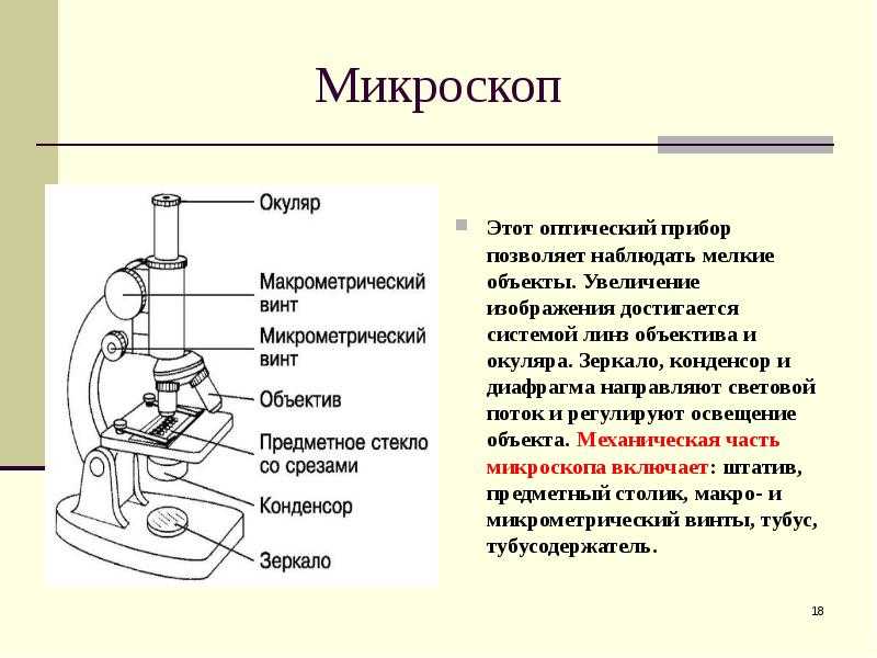 Строение микроскопа ️ устройство и функции его частей, схема с подписями, описание правил и принципов работы в биологии, что является основной частью