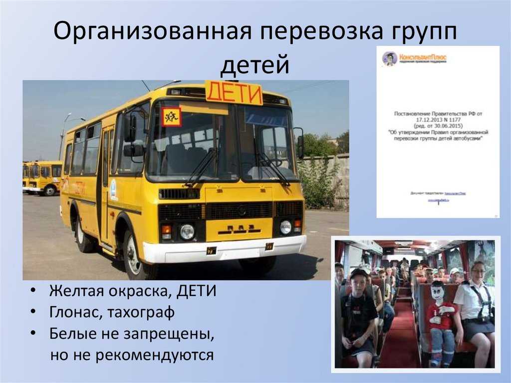 Новые правила организованной перевозки детей в автобусе с октября 2019 года
