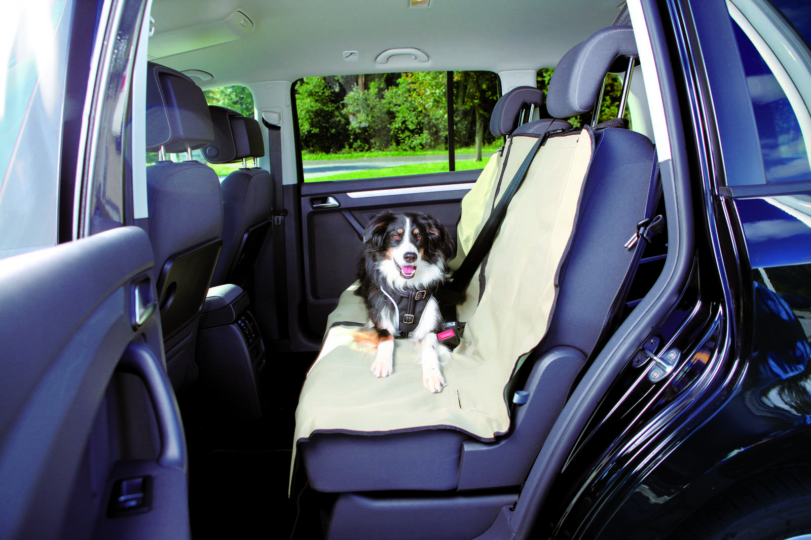 Как перевозить собаку в машине на дальние расстояния без стресса?