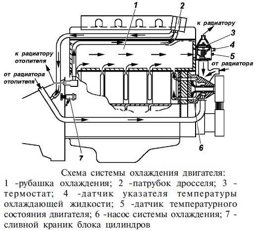 Система охлаждения двигателя змз-40522.10 газель, соболь, схема