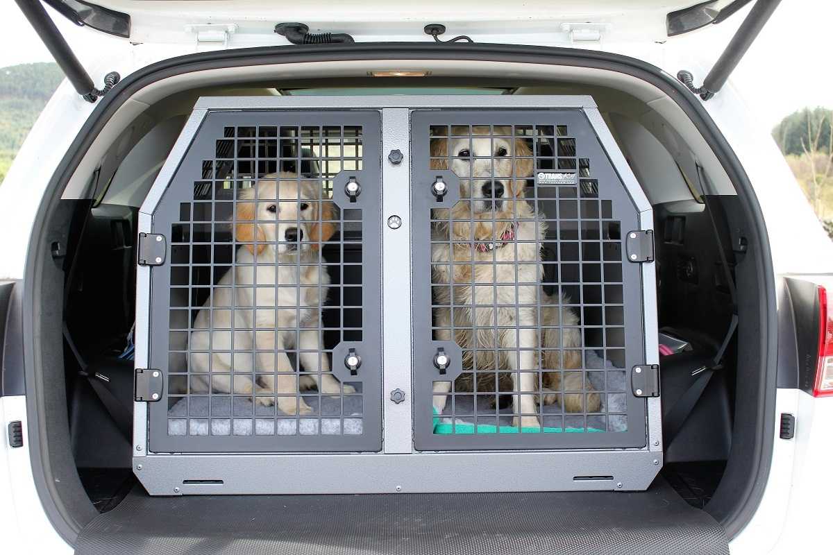 Клетки для собаки в багажник автомобиля 🦈 avtoshark.com