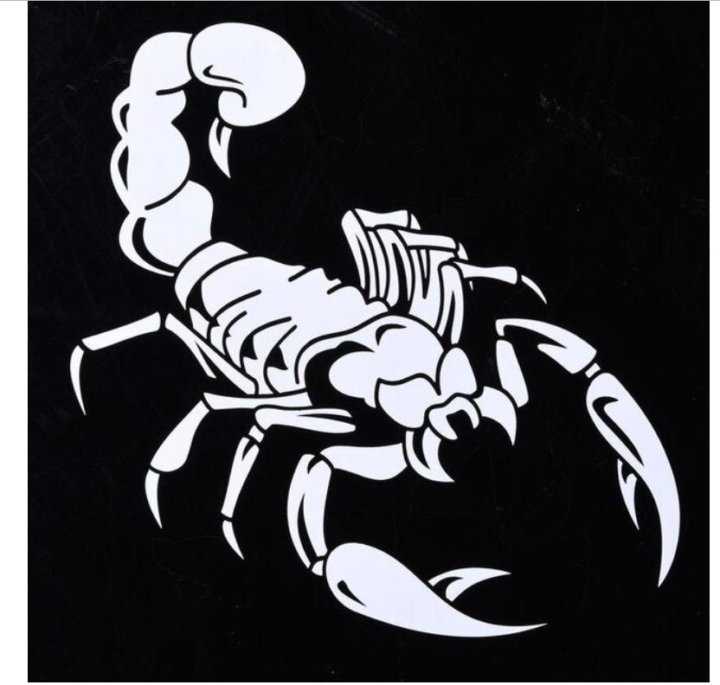 Амулет скорпиона — знак смерти. виды талисманов и их правильная подборка