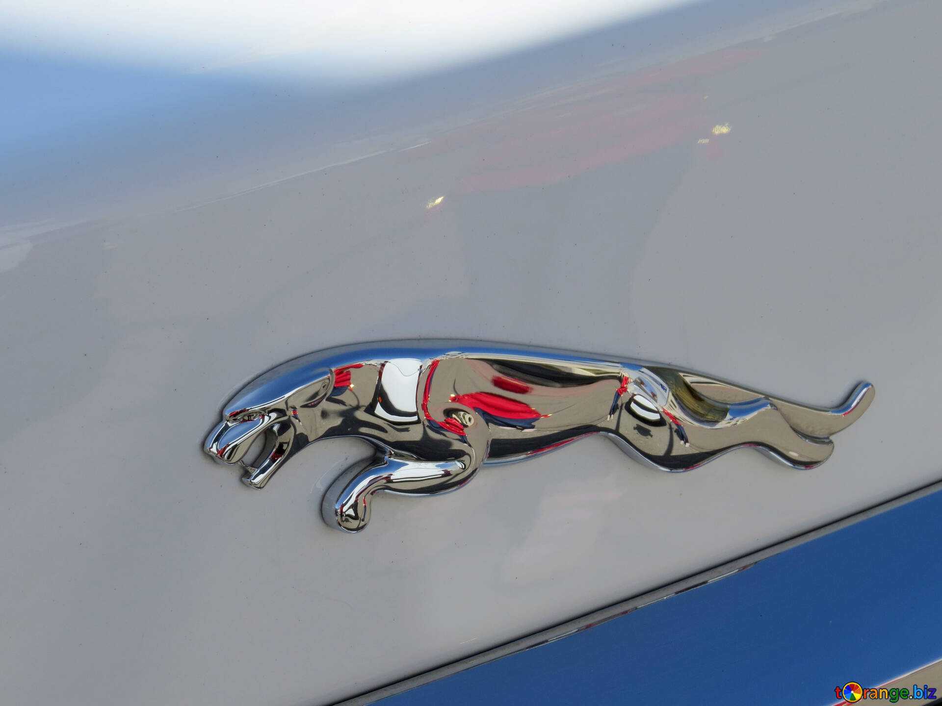 История бренда jaguar, автомобили марки «ягуар»