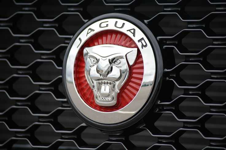 История бренда Jaguar: об основателях компании, как развивался бренд, значение названия и эмблемы Ягуар, развитие компании в 21 веке