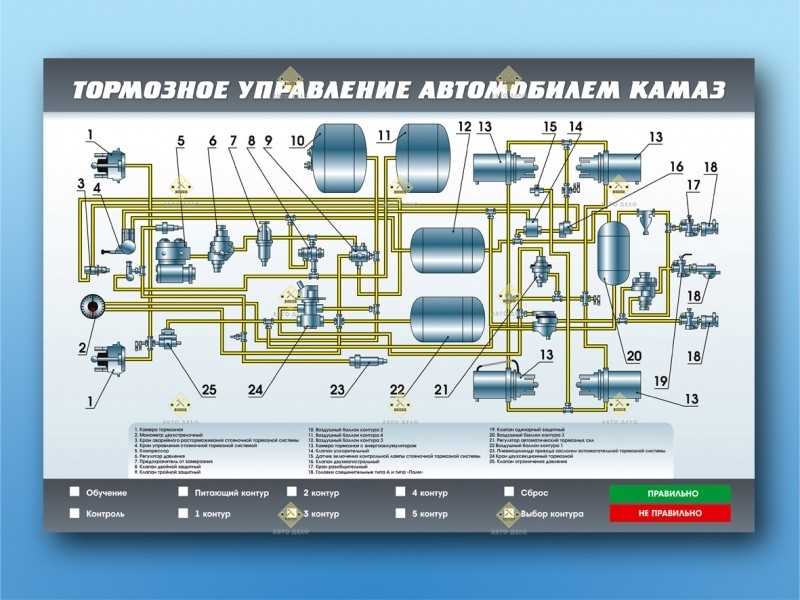 Устройство и работа тормозного механизма камаз-4310. основные неисправности и способы их устранения