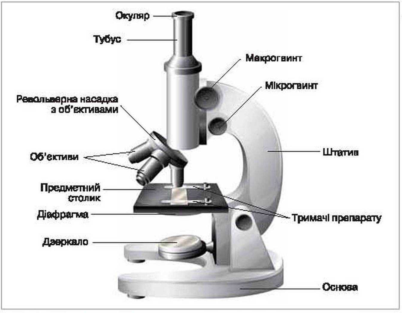 Строение микроскопа - схема устройства с обозначениями и подписями частей