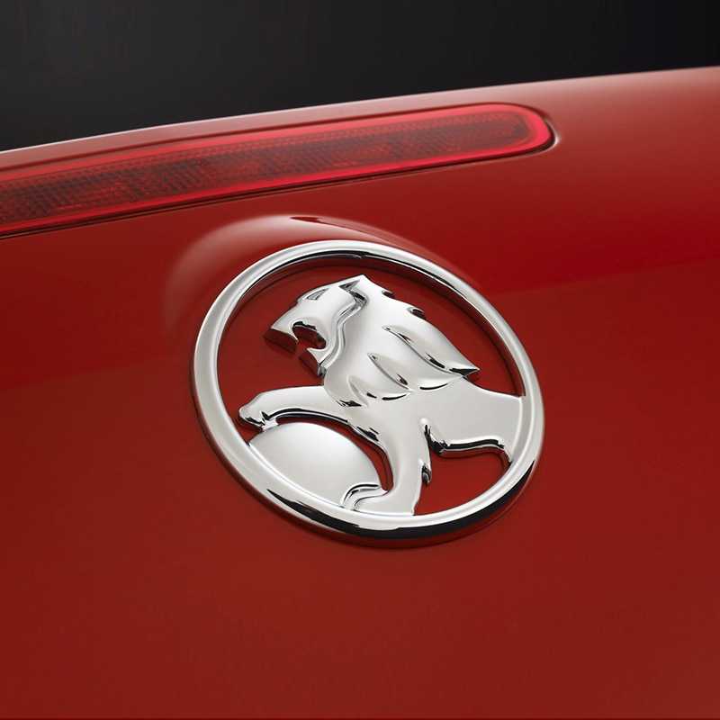 Машины со значком льва – на каких автомобилях изображен лев на эмблеме, чем отличаются изображения Подробное описание