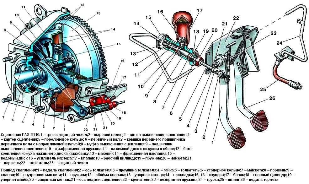 Особенности сцепления автомобиля ГАЗ-3110